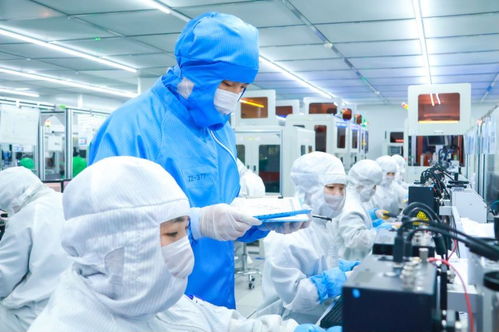 遼寧厚植沃土 醫學研究與試驗發展如何讓科技小苗開出振興之花