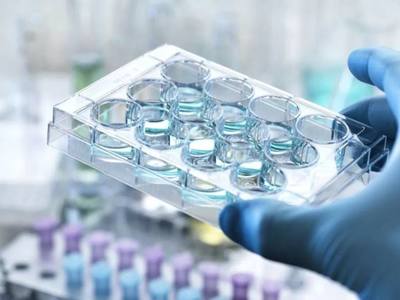 新冠肺炎對生命科學行業的沖擊與重塑 醫學研究與試驗發展迎來新契機